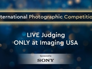 Experience the Thrill of IPC Live Judging