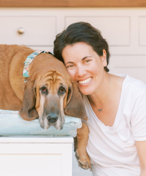 Profitable Pet Photography
